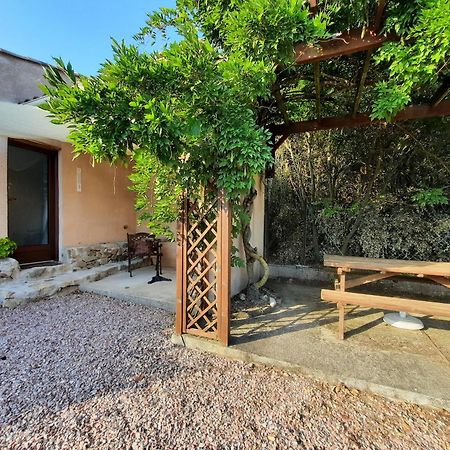 Le lodge des chênes Brousses-et-Villaret Extérieur photo