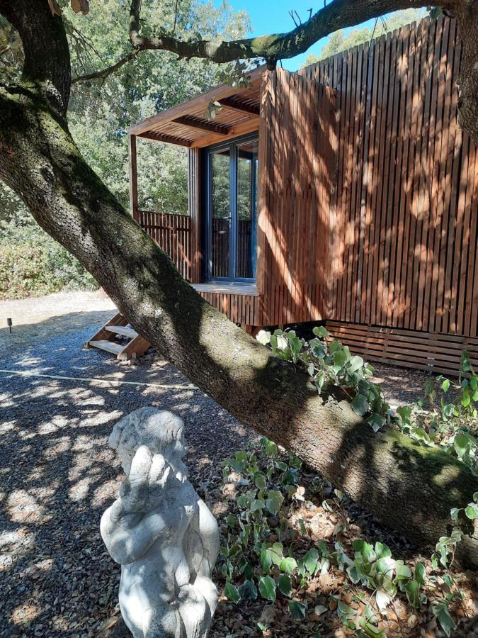 Le lodge des chênes Brousses-et-Villaret Extérieur photo
