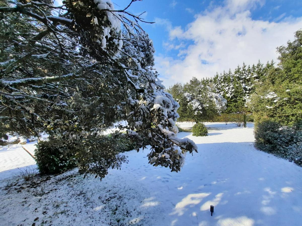 Le lodge des chênes Brousses-et-Villaret Extérieur photo